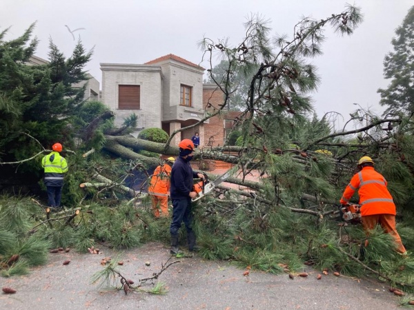 Imagen 7 de la galería