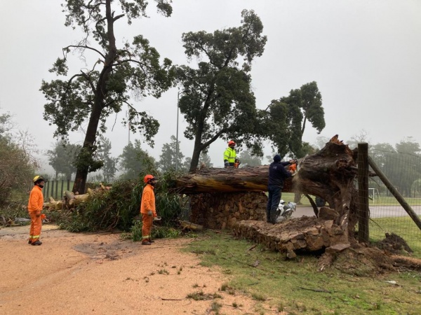 Imagen 9 de la galería