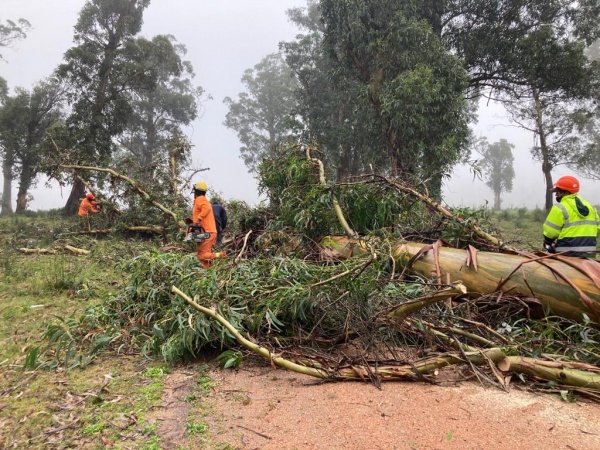 Imagen 11 de la galería