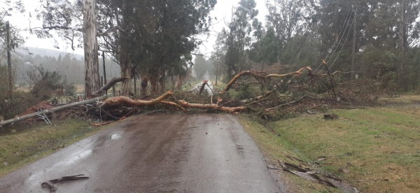 Imagen 2 de la galería