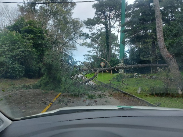 Imagen 3 de la galería