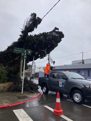 Imagen 4 de la galería