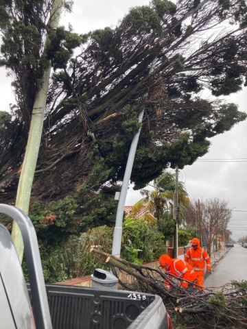 Imagen 5 de la galería