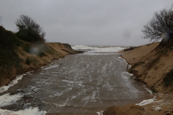 Imagen 6 de la galería