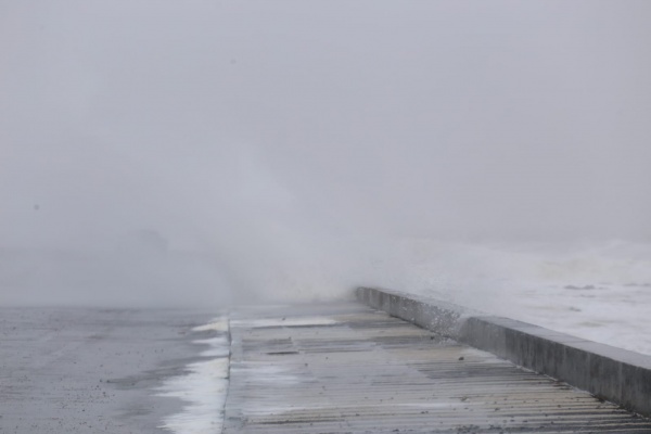 Imagen 7 de la galería