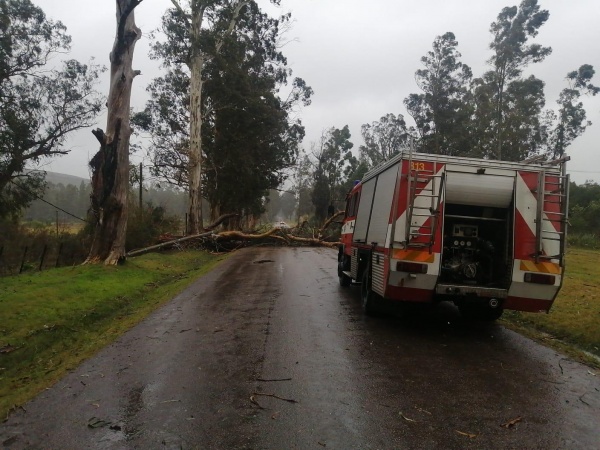 Imagen 8 de la galería