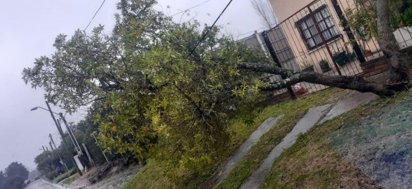 Imagen 9 de la galería