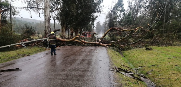 Imagen 10 de la galería