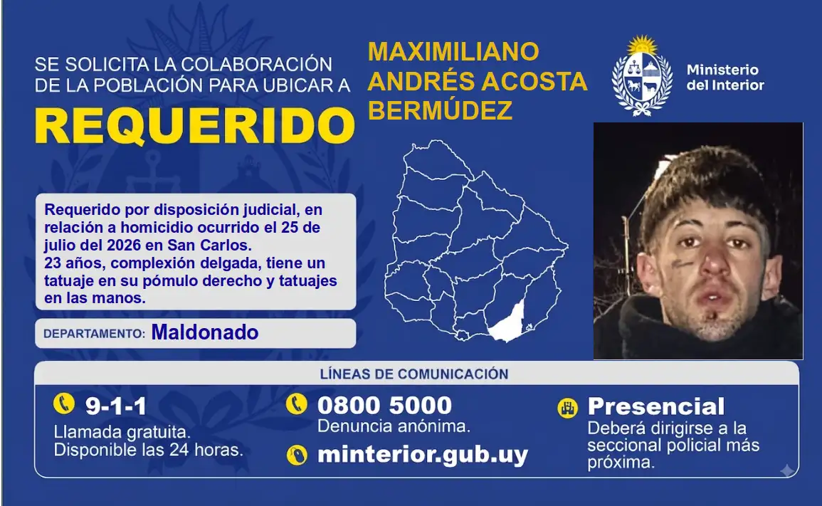 Imagen 1 de la galería