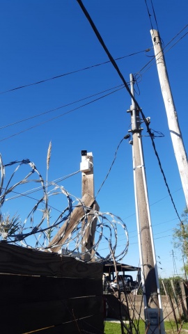 Imagen 2 de la galería