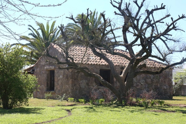 Imagen 3 de la galería