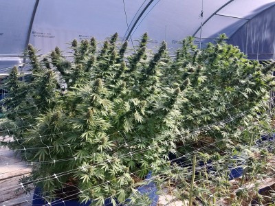 Imagen 3 de la galería