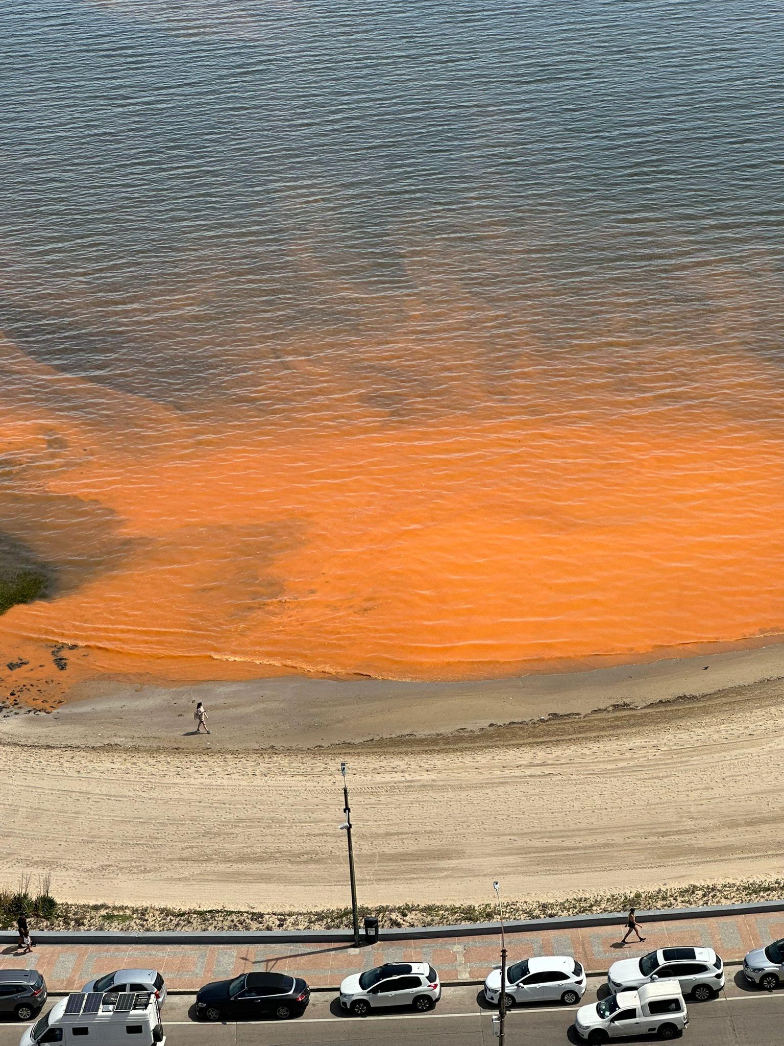 Imagen 1 de la galería