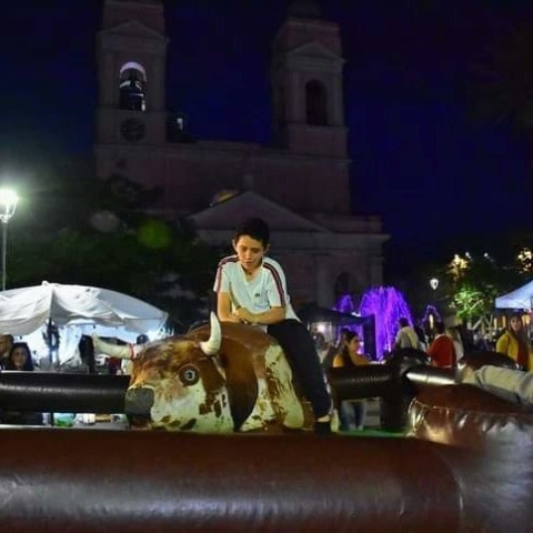 Imagen 3 de la galería