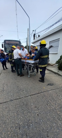 Imagen 2 de la galería