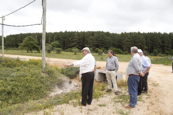 Imagen 2 de la galería