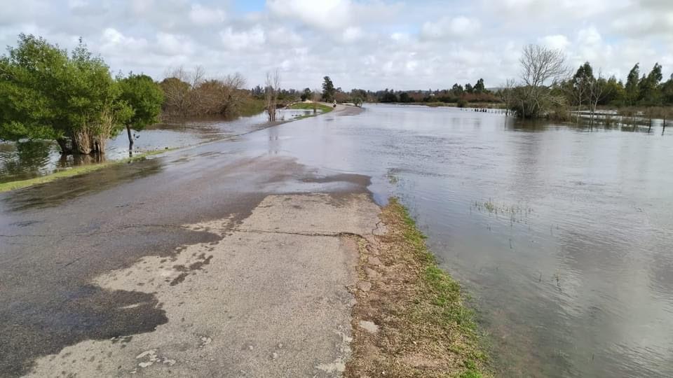 Imagen 3 de la galería