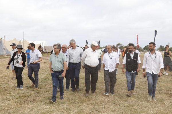 Imagen 4 de la galería