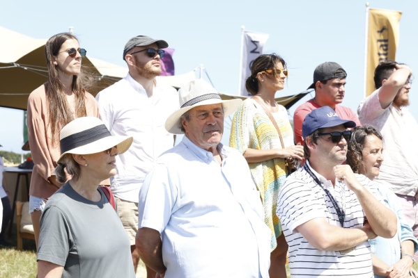 Imagen 4 de la galería