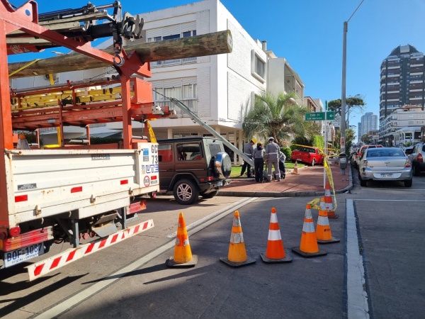 Imagen 3 de la galería