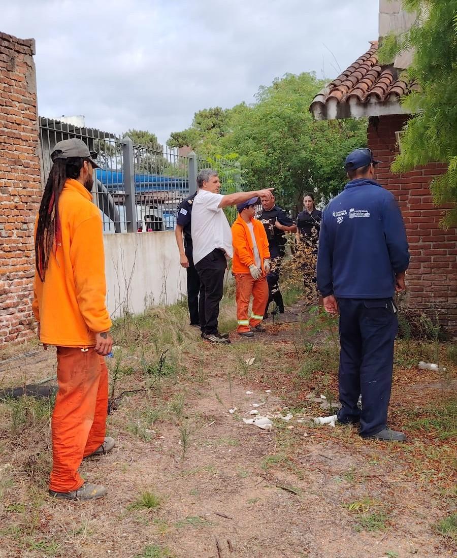 Imagen 2 de la galería