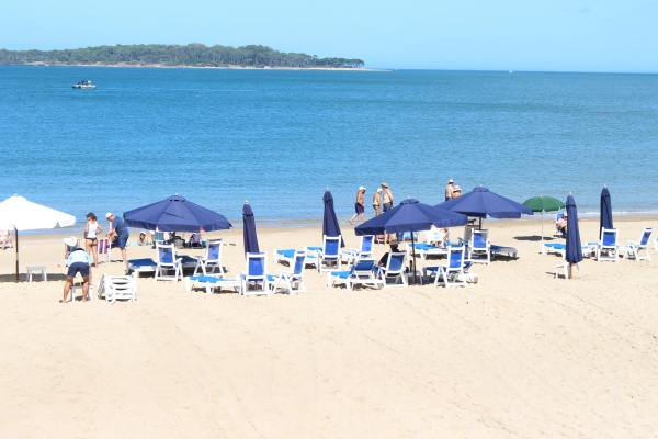 Imagen 2 de la galería