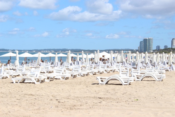 Imagen 4 de la galería