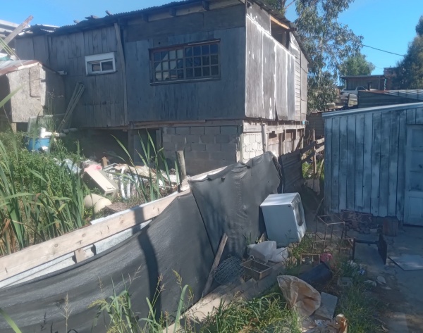 Imagen 3 de la galería