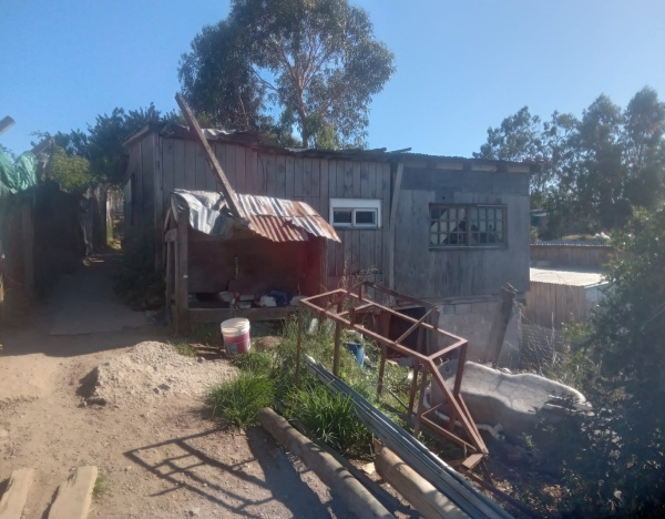 Imagen 4 de la galería