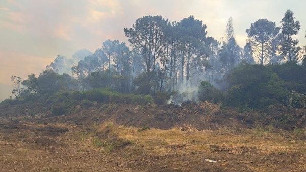 Imagen 2 de la galería