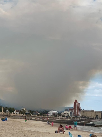 Imagen 4 de la galería