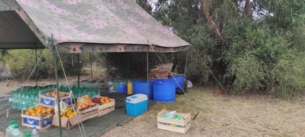 Imagen 5 de la galería