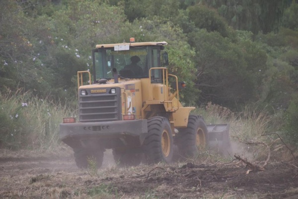 Imagen 6 de la galería