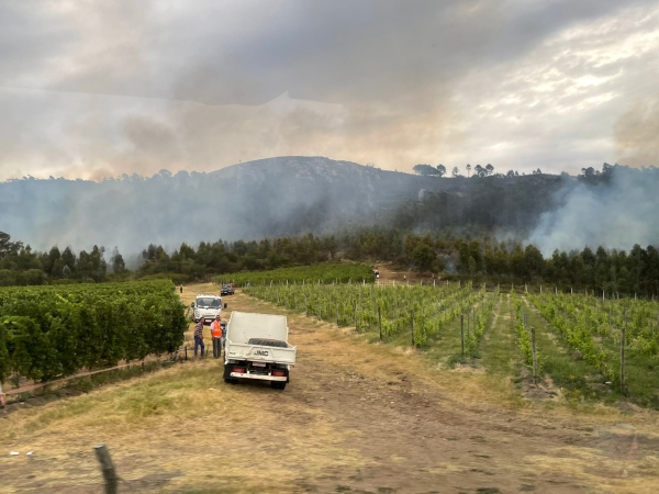 Imagen 7 de la galería