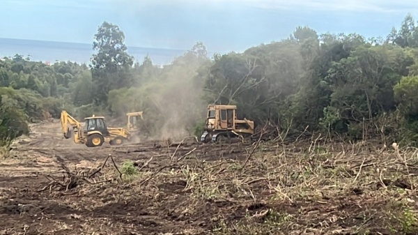 Imagen 9 de la galería