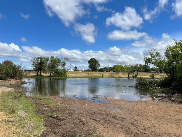 Imagen 2 de la galería