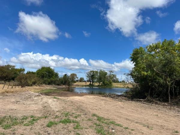 Imagen 3 de la galería