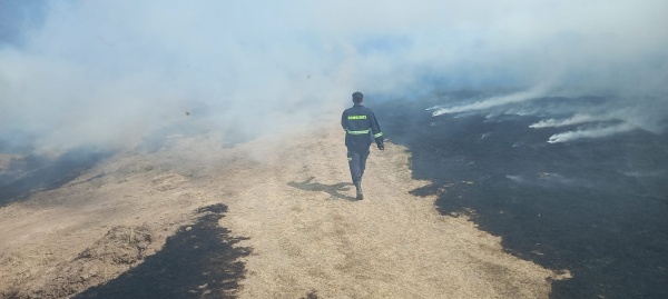 Imagen 2 de la galería