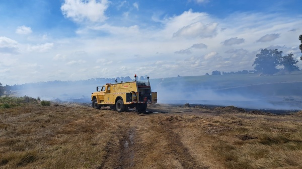 Imagen 4 de la galería