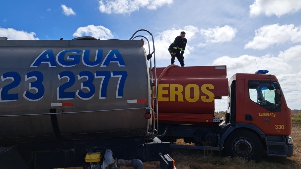 Imagen 5 de la galería