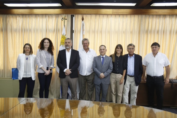 Imagen 3 de la galería