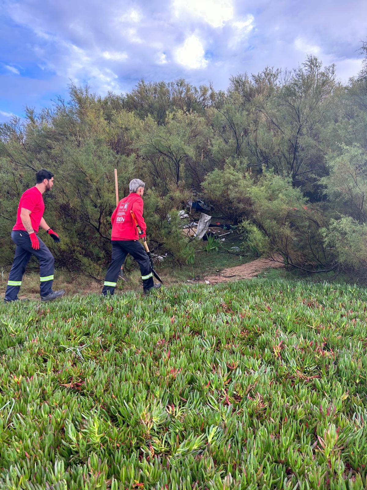 Imagen 3 de la galería