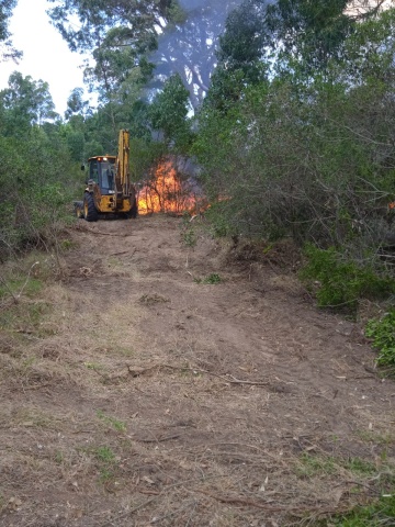 Imagen 2 de la galería