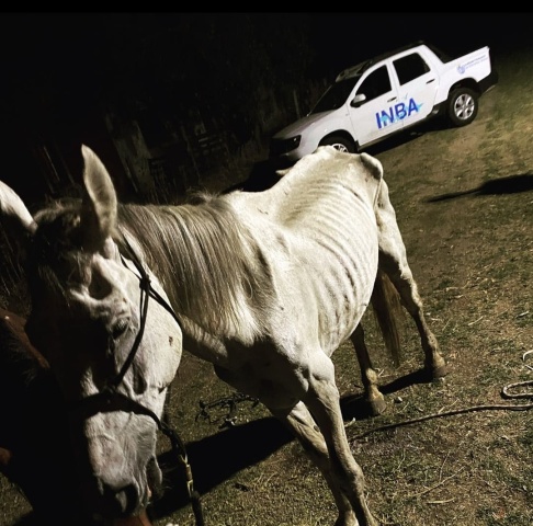 Imagen 3 de la galería