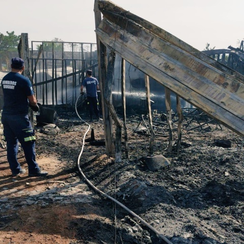 Imagen 4 de la galería