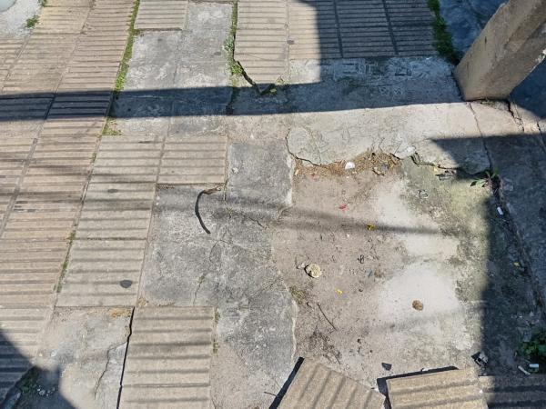Imagen 6 de la galería