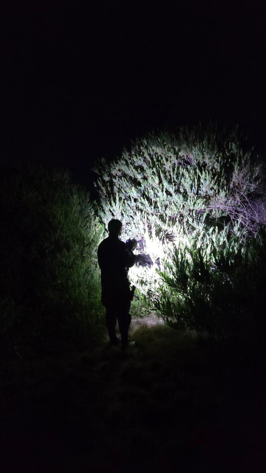 Imagen 2 de la galería