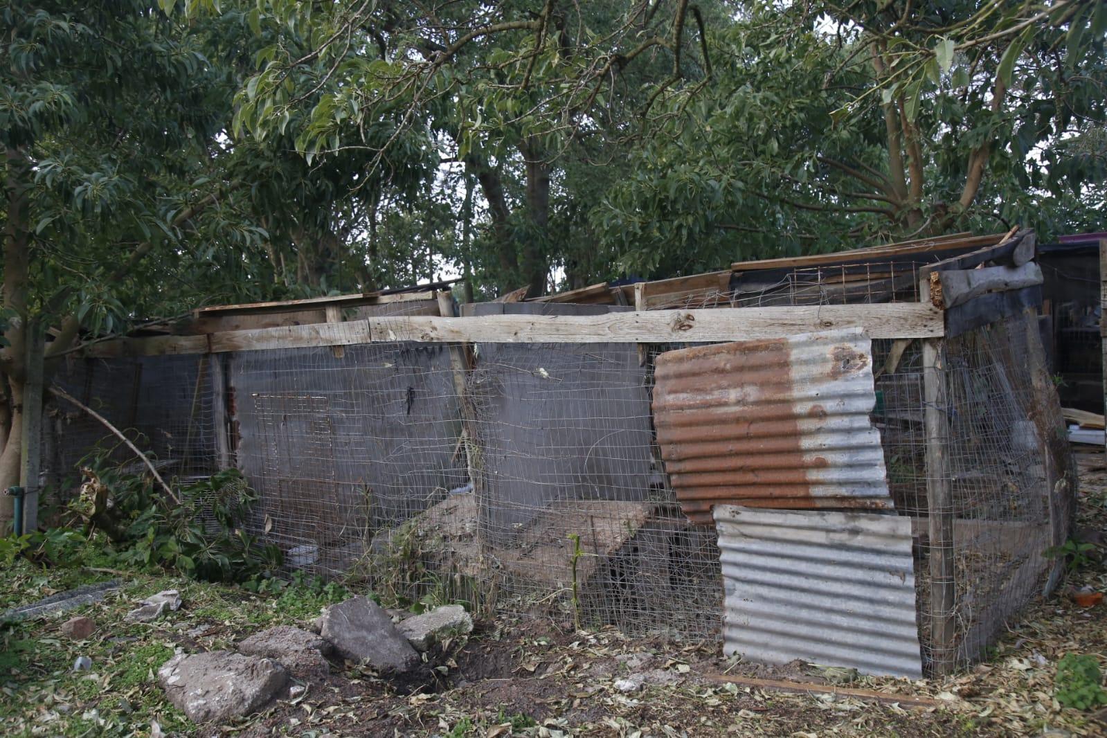 Imagen 3 de la galería