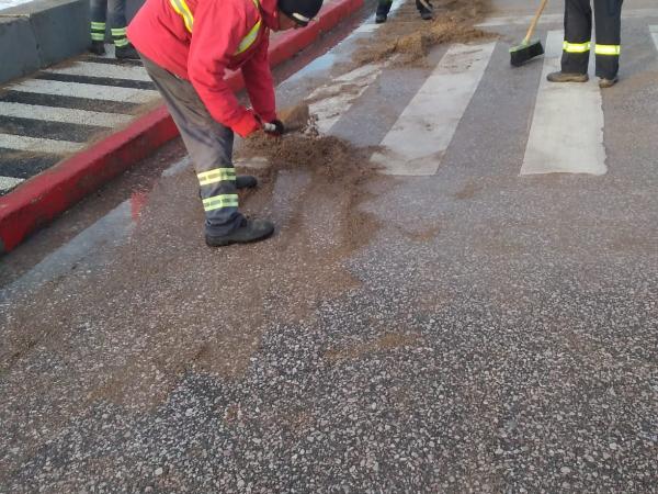 Imagen 2 de la galería