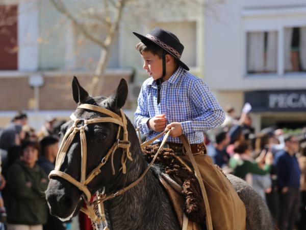 Imagen 11 de la galería